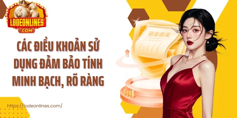 Các điều khoản sử dụng đảm bảo tính minh bạch, rõ ràng