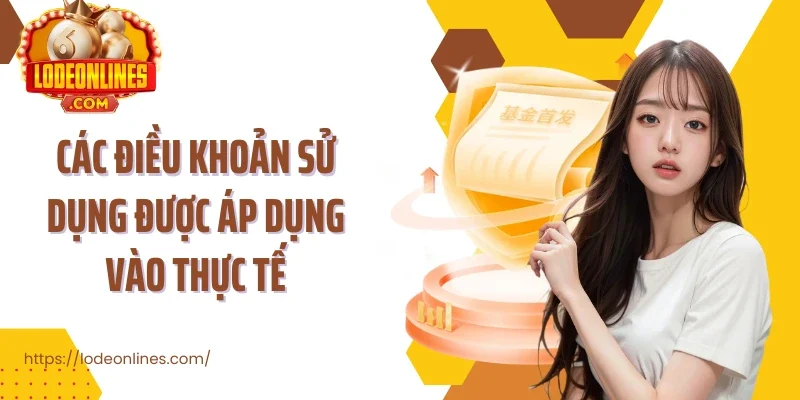 Các điều khoản sử dụng được áp dụng vào thực tế
