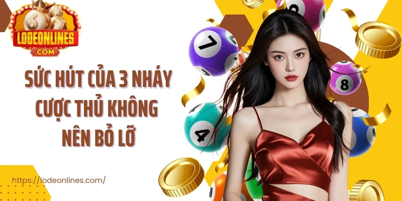 Sức hút của 3 nháy cược thủ không nên bỏ lỡ